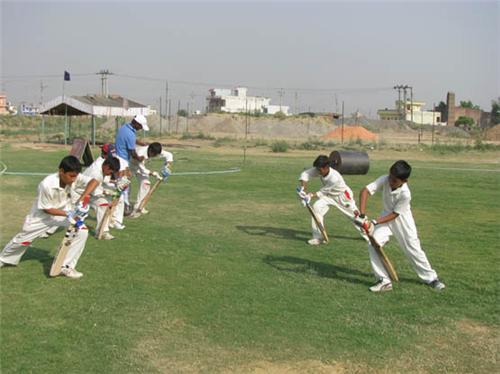 Cricket Academy